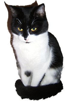 sticker_6938354_46807318