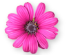 sticker_20148481_37839815