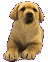 sticker_15789197_21403031
