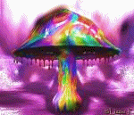 sticker_18636785_36764640