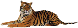 sticker_11636946_24667810