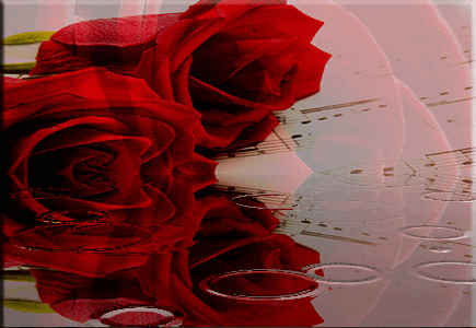 sticker_13214246_40423385