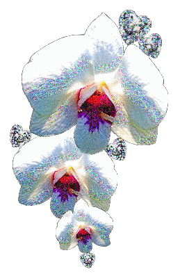 sticker_24201481_36106538