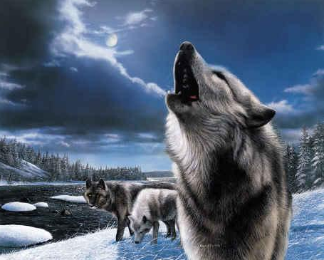 sticker_756552_30703509