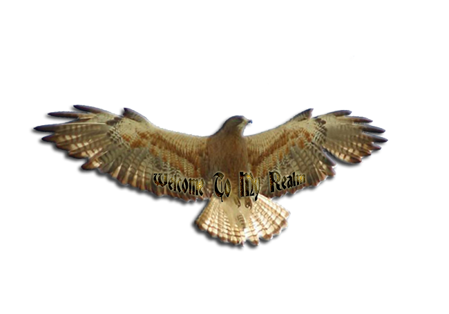 sticker_24286434_41839414