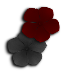 sticker_3406854_41525472