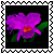 sticker_6195420_39377800