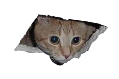 sticker_21183473_38526303