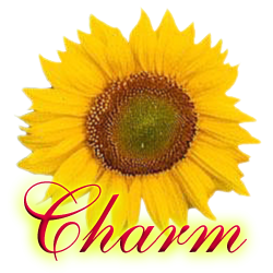 sticker_12550005_20169619