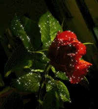 sticker_14627485_35318327