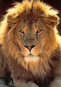 sticker_2858881_12866123