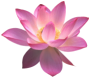 sticker_15877333_36489163