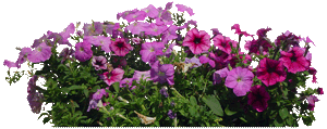 sticker_23663428_33622071