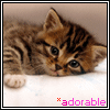 sticker_2238609_6236158