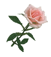 sticker_21286184_33989257