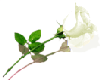 sticker_7235624_9303631