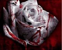 sticker_24856409_33958889