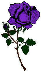 sticker_14435002_23707945