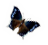 sticker_16781808_44374119