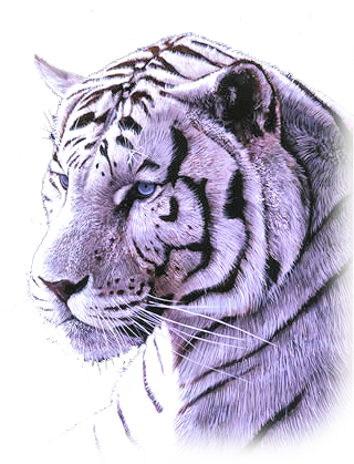 sticker_3539137_10147203