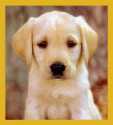 sticker_13424219_37712851