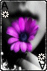 sticker_6195420_40440208