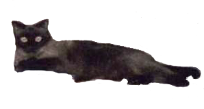 sticker_14158913_21491258
