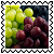 sticker_19906142_33010067