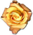 sticker_5148777_10391171