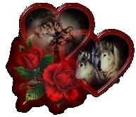 sticker_14554312_19254371