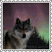 sticker_24830870_34534050