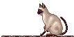 sticker_11641448_29753100