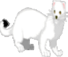 sticker_22576288_31406167