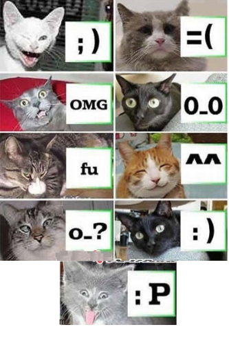 sticker_16394250_22522506