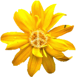 sticker_20960216_40170254