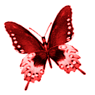 sticker_18363624_34702393