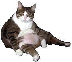 sticker_4888113_6414734