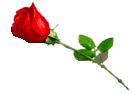 sticker_18816732_31348504