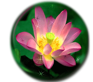 sticker_25367501_41056698