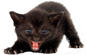 sticker_12610675_39727049