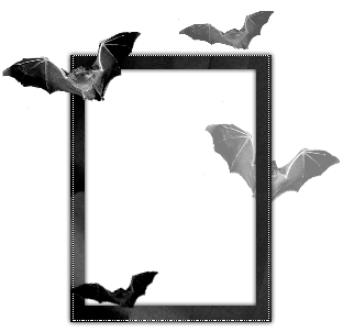 sticker_3817107_18116982