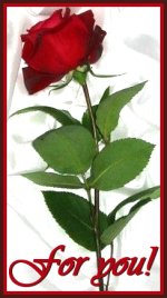 sticker_22795194_30882456
