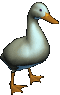 sticker_12539815_19359041