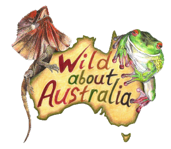 sticker_9147000_37720593
