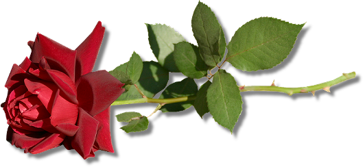 sticker_25587593_38222384