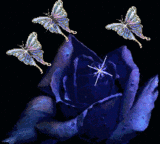 sticker_17465709_22901224