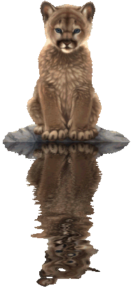 sticker_30247230_43462055