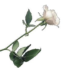 sticker_23175150_39061757