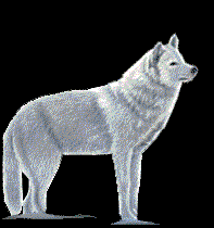 sticker_27531625_39578445