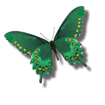 sticker_16116477_21264005